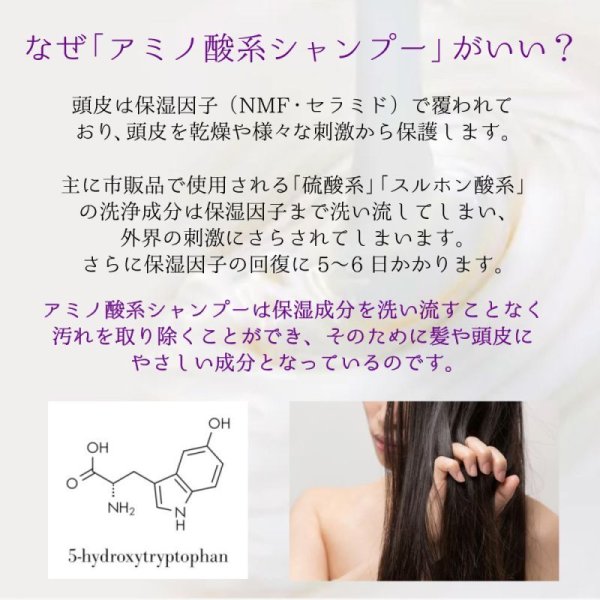 画像7: 麗雅(LALAKA)モイスチャライザーシャンプーC (7)