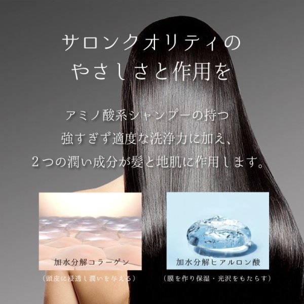 画像9: 麗雅(LALAKA)モイスチャライザーシャンプーC (9)