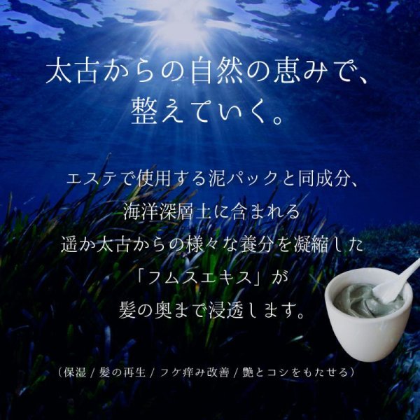 画像10: 麗雅(LALAKA)モイスチャライザーシャンプーC (10)