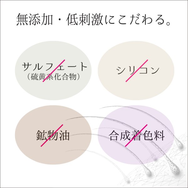 画像12: 麗雅(LALAKA)モイスチャライザーシャンプーC (12)