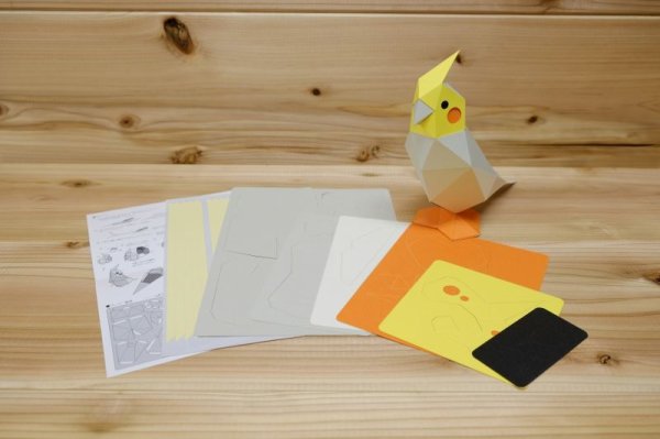 画像3: KAKUKAKU TINY　オカメインコ (3)