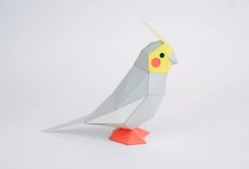 画像8: KAKUKAKU TINY　オカメインコ (8)