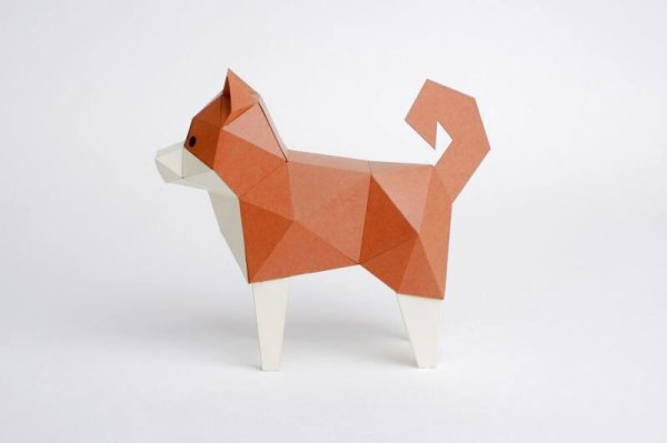 画像8: KAKUKAKU TINY しばいぬ 茶 (8)