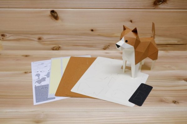 画像3: KAKUKAKU TINY しばいぬ 茶 (3)