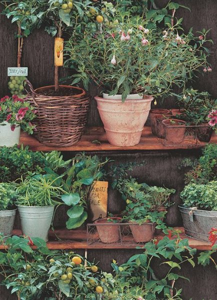 画像2: 輸入フリース壁紙  (2)