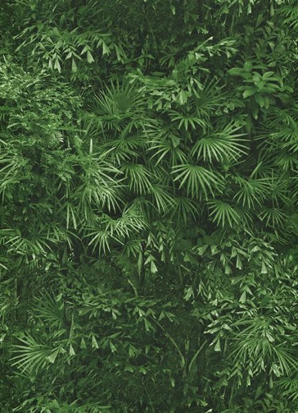 画像2: 輸入フリース壁紙  (2)