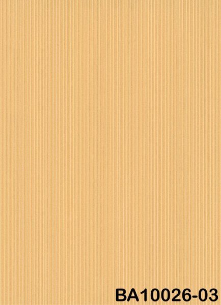 画像2: 輸入フリース壁紙  (2)