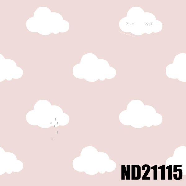 画像4: 輸入フリース壁紙　 (4)