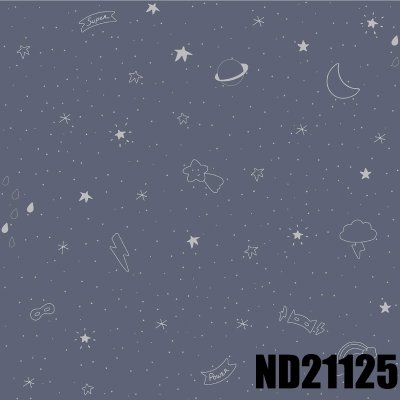 画像2: 輸入フリース壁紙　 (2)