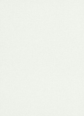 画像2: 輸入フリース壁紙　 (2)