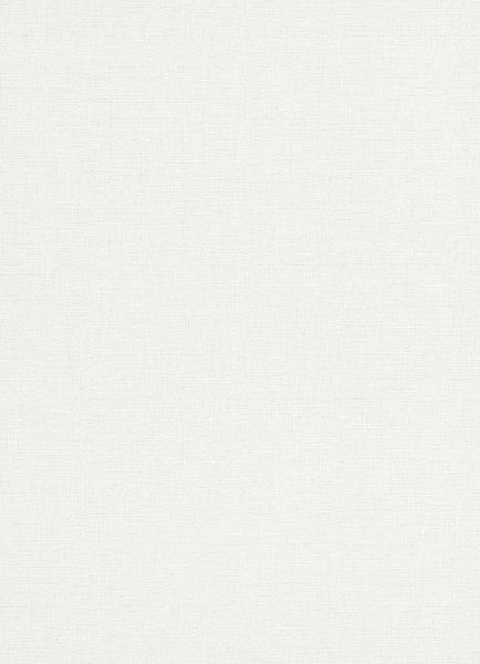 画像2: 輸入フリース壁紙　 (2)